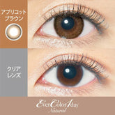 EverColor 1 Day Color Contact lenses Natural Apricot Brown (20p)